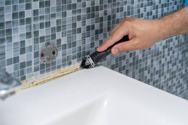 Reliable Valmeyer, IL Mold Removal Solutions